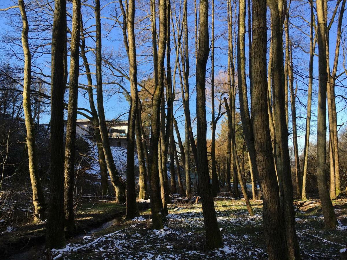 Haagalm Terrasse, Garten Nonnweiler Екстер'єр фото