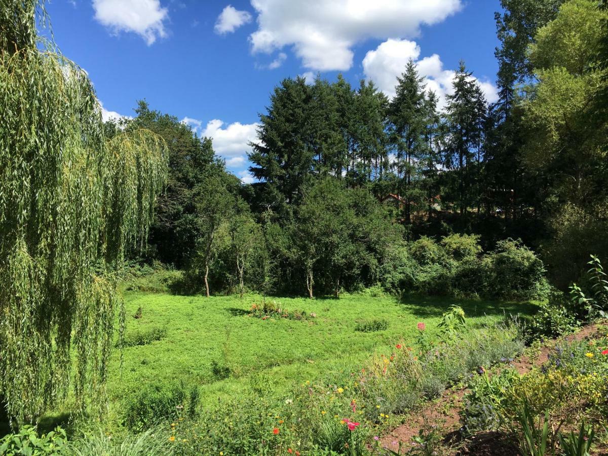 Haagalm Terrasse, Garten Nonnweiler Екстер'єр фото