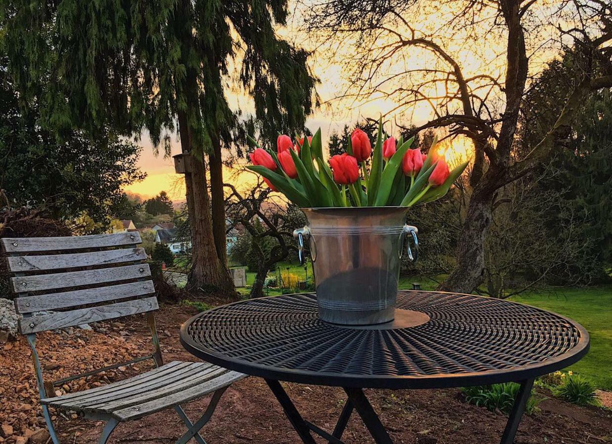 Haagalm Terrasse, Garten Nonnweiler Екстер'єр фото