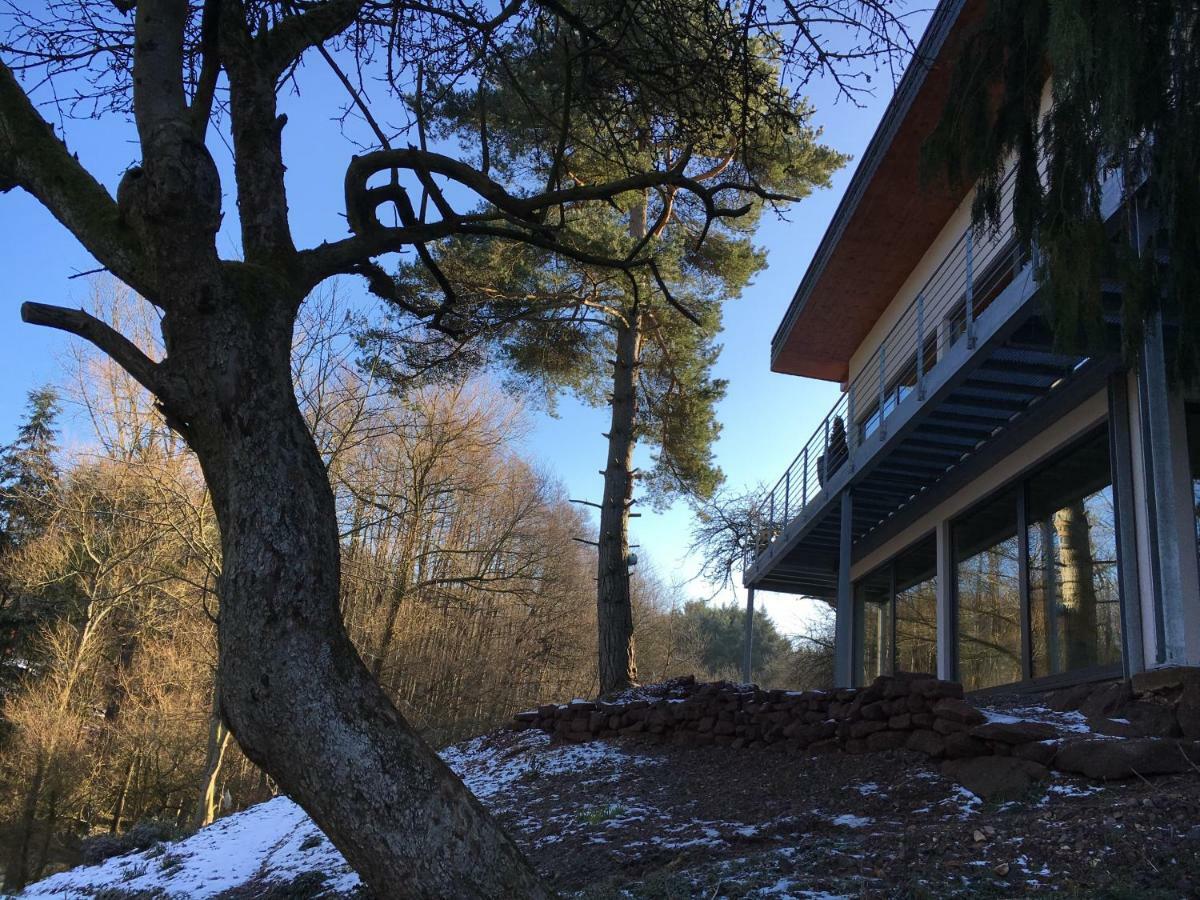 Haagalm Terrasse, Garten Nonnweiler Екстер'єр фото