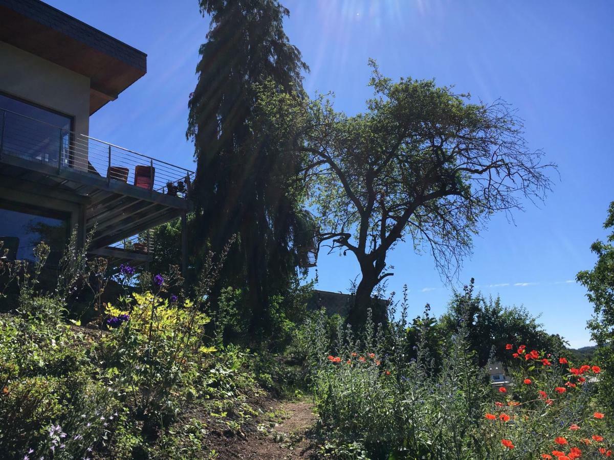 Haagalm Terrasse, Garten Nonnweiler Екстер'єр фото